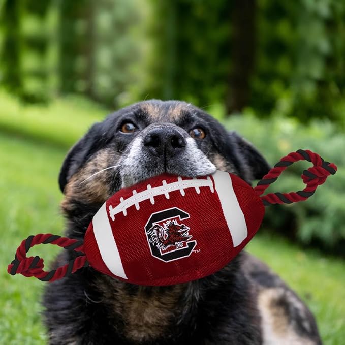 Pets First NFL Unisex NFL Nylon Football