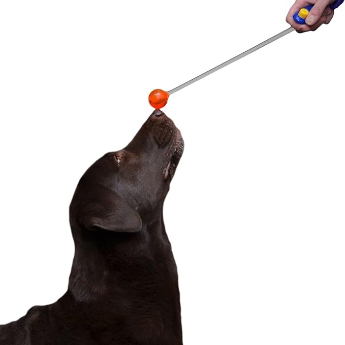 Karen Pryor Clicker Training Lollipop Target Stick - Perfect for Teaching Tricks, Behaviors & Focus with Irresistible Target - Fun & Effective Dog Training Stick with Translucent Handle - 14”, Red