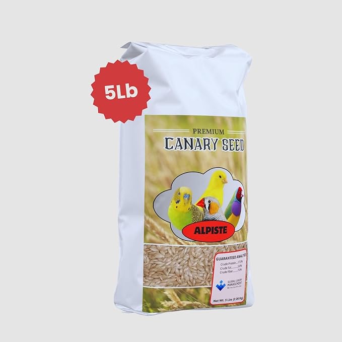 Alpiste Canary Seed 5Lb Bag – Natural Bird Food for Canaries and Small Birds, Finch Food Supports Breeding Growth Digestion Healthy Plumage Bone Strength & Eggshell Formation (5 Lb)