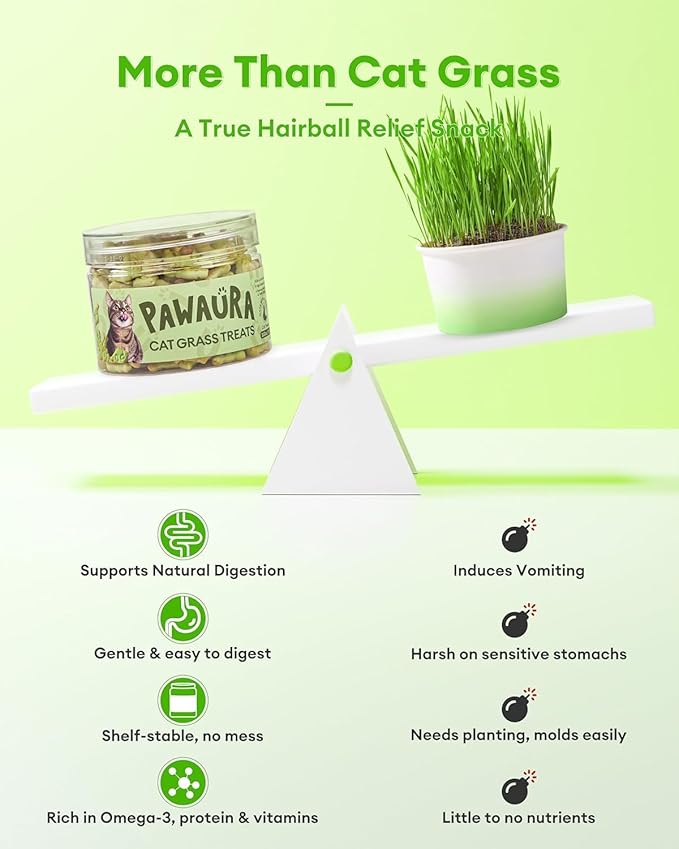 3.53oz Cat Grass Treats for Hairball Control – Natural Chicken & Cat Grass & Catnip Biscuits, Low-Calorie Healthy Snacks for Indoor Cats, Digestive & Dental Care