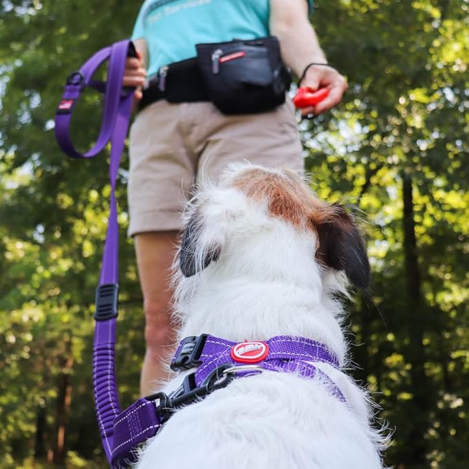EzyDog Command Clicker Ergonomic Dog Training Tool with Wrist Strap - Hands Free & Universal Fitting System for Fingers Trains Effectively & Humanely with Positive Reinforcement (Red)