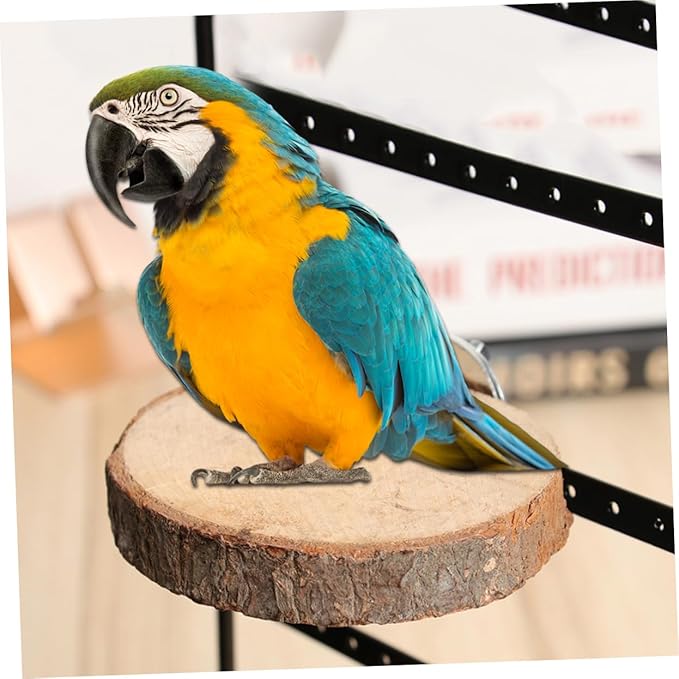 BESTonZON Round Wooden Pet Parrot Stand Platform Natural Wood Branch Perches for Bird Cage for Hamsters Gerbils Animals Easy to Install Jumping Board