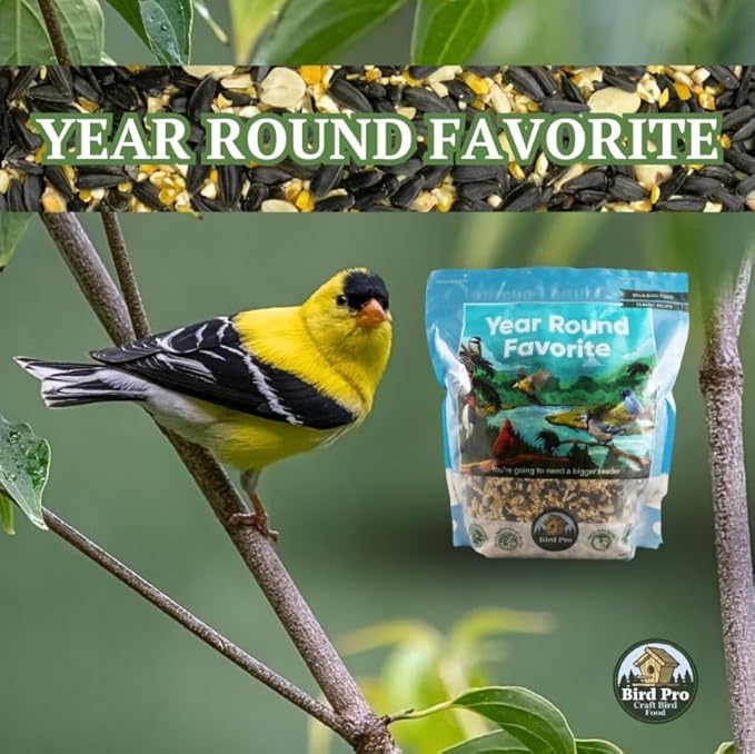 Bird Pro Classic Bird Seed (18 Pounds, Year Round Favorite)