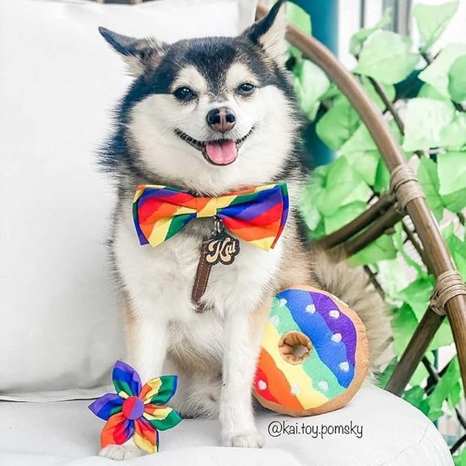 Huxley & Kent for Dogs | Pride Donut (Small) | Rainbow Power Plush Dog Toy with Squeaker | Funny Dog Toy | Cute Dog Toy | H&K Squeaky Dog Toy