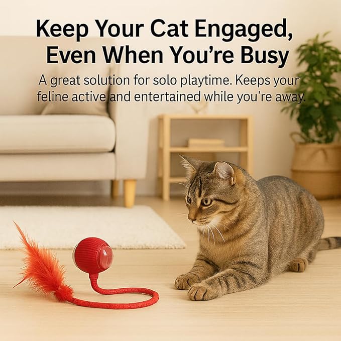 Interactive Cat Toy Ball – Rechargeable Smart Rolling Cat Ball Toy – Auto Movement – Indoor Cat Toys for Kittens – Light-Up Modes – Dual Speed – Cat Toys Interactive