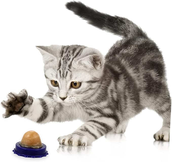Garneck 4pcs Catnip Energy Ball Snacks Healthy Cat Licking Candy Treats Natural Flavor Nutritional Energy Balls for Cats and Kittens