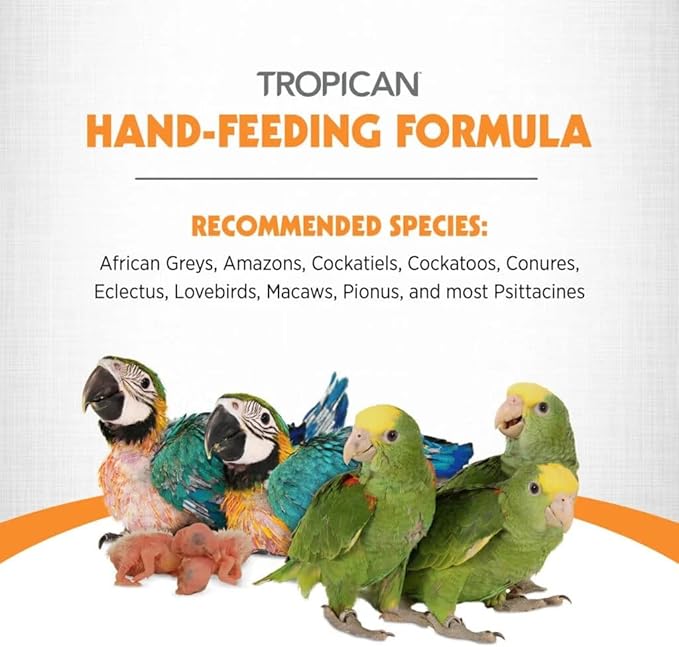 Hari Tropican Baby Bird Food, Parrot Food, Complete Nutrition Diet, Hand-Feeding Formula, 11 lb Bag