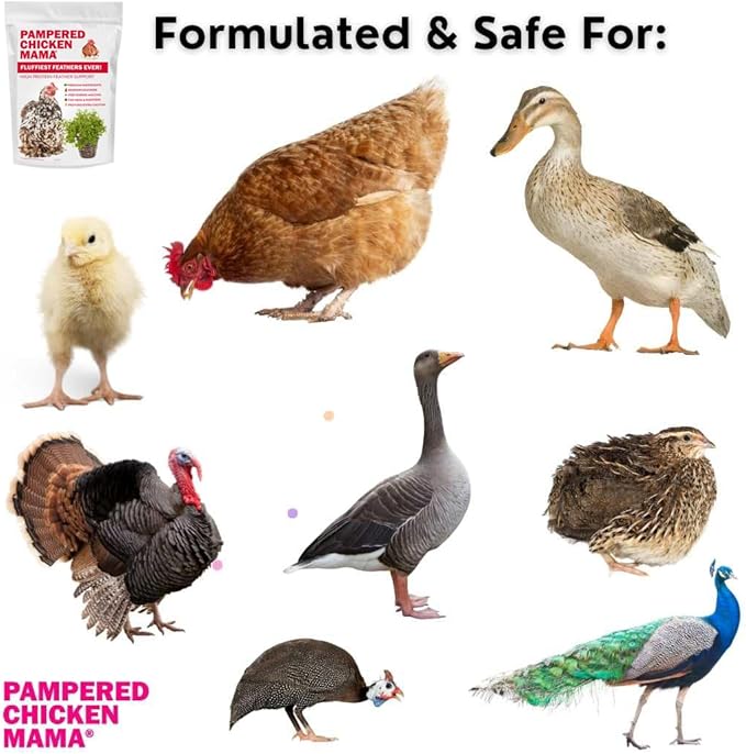 Pampered Chicken Mama Backyard Chicken Molting Supplement: Fluffiest Feathers Ever Backyard Chicken Feed and Supplies for Hens (6 Pound Economy Size)