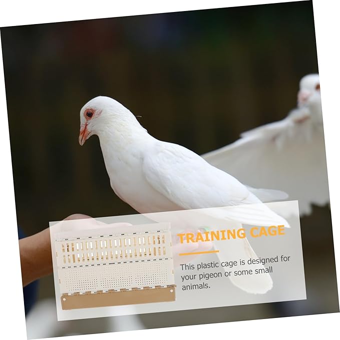 Portable Pigeon Cage Foldable Design for Pigeon and Transportation Easy Storage Premium Plastic Material Scientific Mechanism for Safe Use