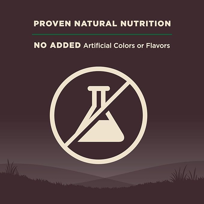 Wellness CORE Adult Dry Dog Food, Grain Free Kibble, Natural, High Protein, Lamb Recipe, 4 lb Bag