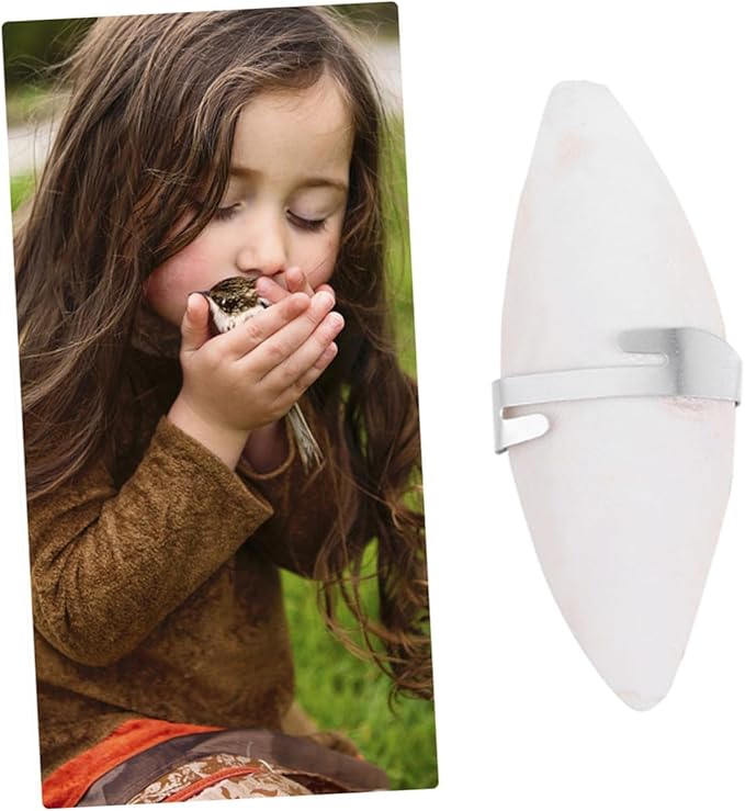 POPETPOP 12sets Pet Grinding Toy Set Cuttlefish Bone Chewing Toys Molars for Animals Bird Cage Accessories Pet Supplies Protect Your Shoes Furniture