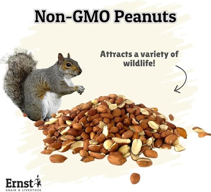 Ernst Grain & Livestock Out of Shell Peanut Splits & Wholes, 10lb, Perfect for Squirrels, Birds, Deer, and Other Wildlife, Raw Peanuts
