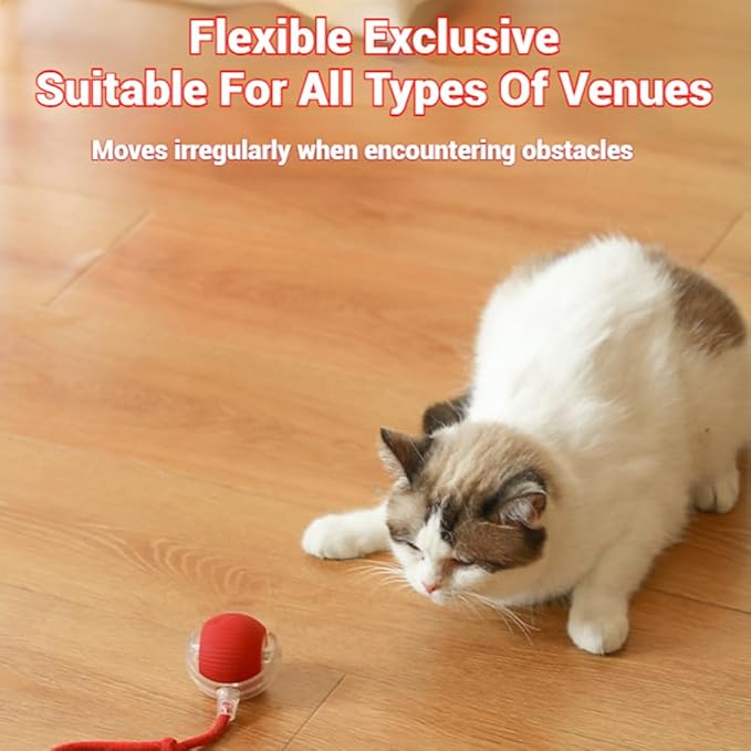 2026 New Dog Toy, Interactive Fast Moving Toys Balls with Birdsong, 360° Smart Automatic Rolling Electric Dog Ball Toy with Rope for Dogs and Cat Indoor Play (Red*2)