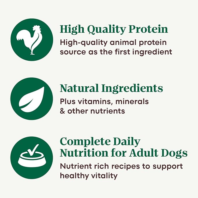 Nutro Natural Choice Premium Loaf Canned Dog Food, Adult Wet Dog Food Beef Recipe 12.5 oz. cans (12 Count)