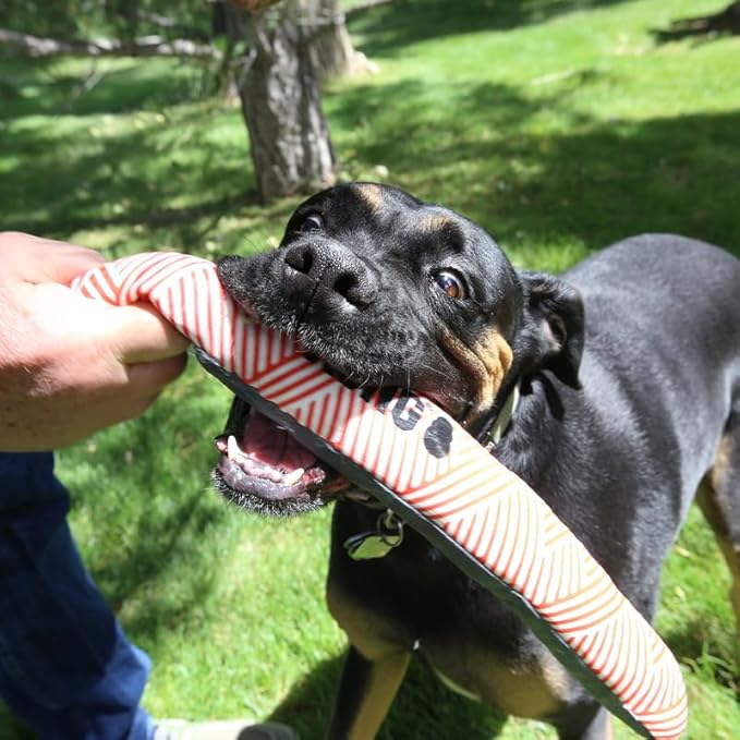 KONG Maxx Stick - Rugged, Puncture Resistant Dog Toy, Red (MD/LG)