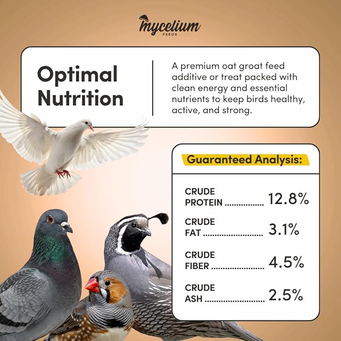 Mycelium Organic Oat Groats for Birds (5 LB Bag) | Clean, Non-GMO Grain Treat or Food Additive | Debris & Dust-Free Advanced Sifting | Ideal for Small Pet & Ground-Feeding Wildlife Birds | Made in USA