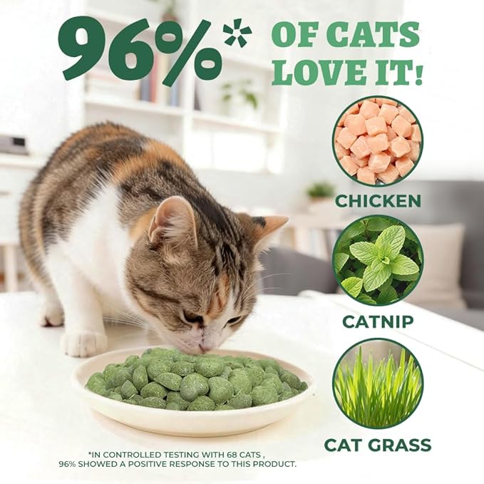 Wellix Catnip Treats Freeze-Dried Cat Treats, Grain-Free Snacks with Chicken, Cat Grass & Catnip for Cats Digestive Support Healthy Skin&Coat, Healthy Feline Training Treats for Indoor Cats, 3oz