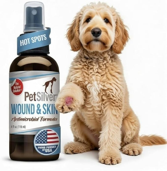 PetSilver Antibacterial Wound & Skin Spray | Dog Hot Spot Treatment & Cat Wound Spray | Chelated Silver Skin Soother for Rashes & Sores | Dog Wound Care & Itch Spray - 4 fl oz
