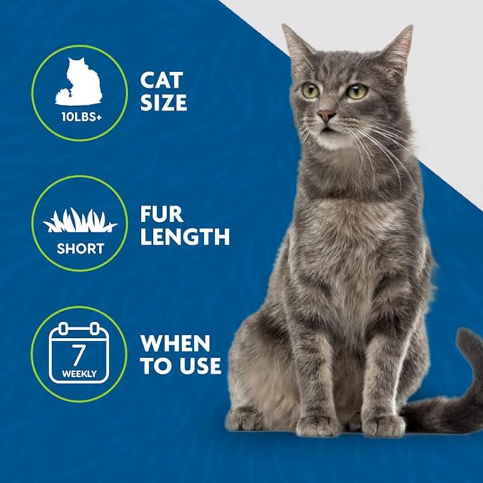 FURminator deShedding Tool For Medium to Large Cats With Short Hair, Removes Loose Hair From Shedding