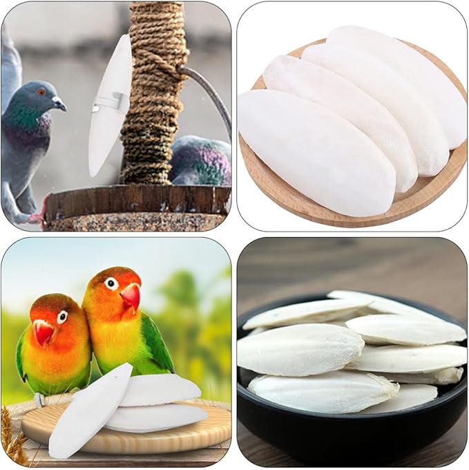 12sets Pet Molars Toy Set Cuttlefish Bone Chewing Toy for Hamsters Rabbits Guinea Pigs Chinchillas Squirrels Bird Cage Accessories Animal Supplies