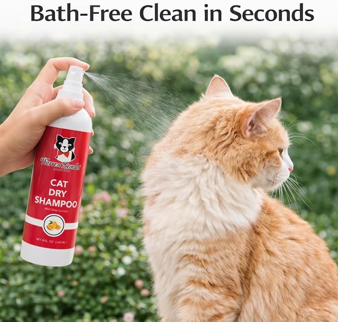 Warren London Cat Dry Shampoo Spray – 8 oz No-Rinse Waterless Cleaner with Neem & Coconut | Mild Citrus Odor Control, Dander & Itch Relief | Quick On-The-Go Grooming | Soap-Free, Made in USA