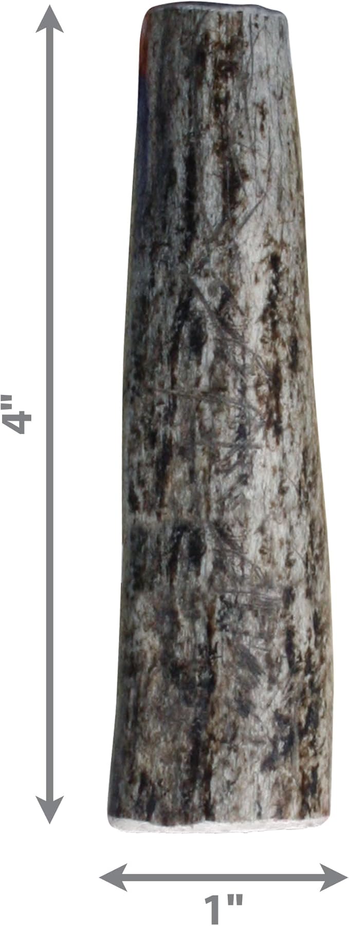 KONG Antlers for Dogs – 2 Pack of Naturally Shed Elk Antlers, 100% All-Natural & Sustainable Chews, Long-Lasting, Cleans Teeth, Freshens Breath (X-Small)