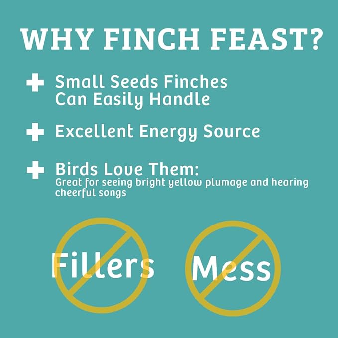 Birds Choice Finch Feast Wild Bird Food | Nutrient-Rich Bird Seed Blend | High-Energy with Nyjer Thistle, Sunflower Chips, Nyjer & Vegetable Oil | High Protein & Fat for Attracting Finches | 5 lbs