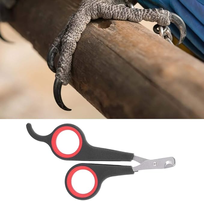 ciciglow Non Slip Bird Nail Clipper, Stainless Steel Pet Grooming Tool for Small Animals, Accessory for Bird Cage