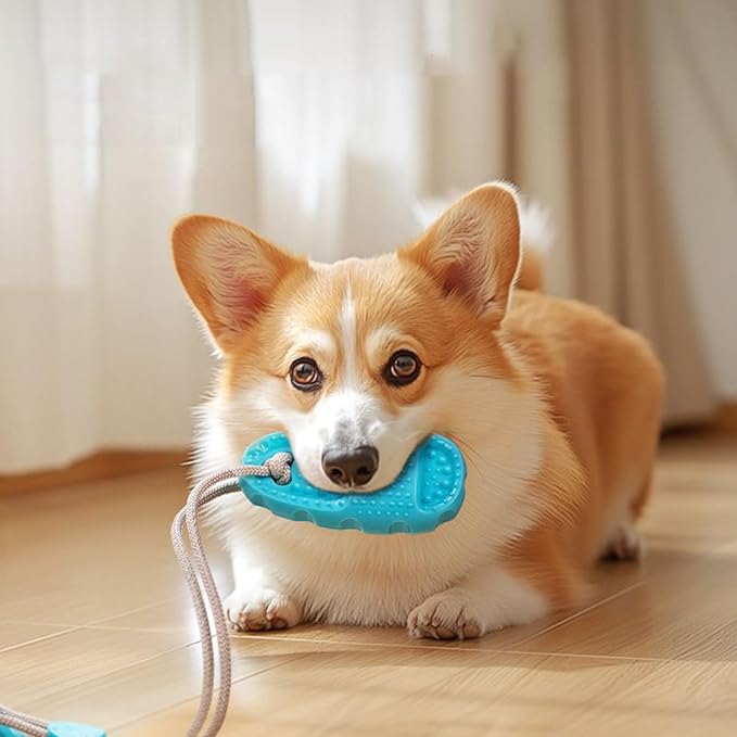 Interactive Dog Toy With Suction Cup Base Hollow Dog Ball That Holds Treats Inside Designed For Supervised Play For Cat Kitten Small Medium Large Breed Aggressive Chewers Indoor Outdoor Play Stimulati