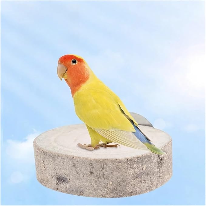 Bird Cage Platform 6pc Random Color Circular Wooden Jumping Board Parrot Stand Toy for Small Pet Hamster Squirrel Bird Cages Accessories