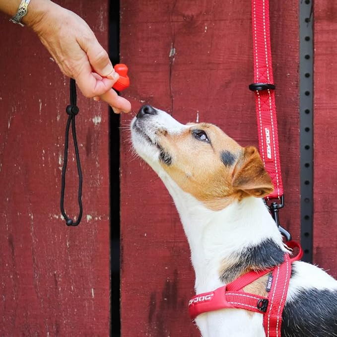 EzyDog Command Clicker Ergonomic Dog Training Tool with Wrist Strap - Hands Free & Universal Fitting System for Fingers Trains Effectively & Humanely with Positive Reinforcement (Red)