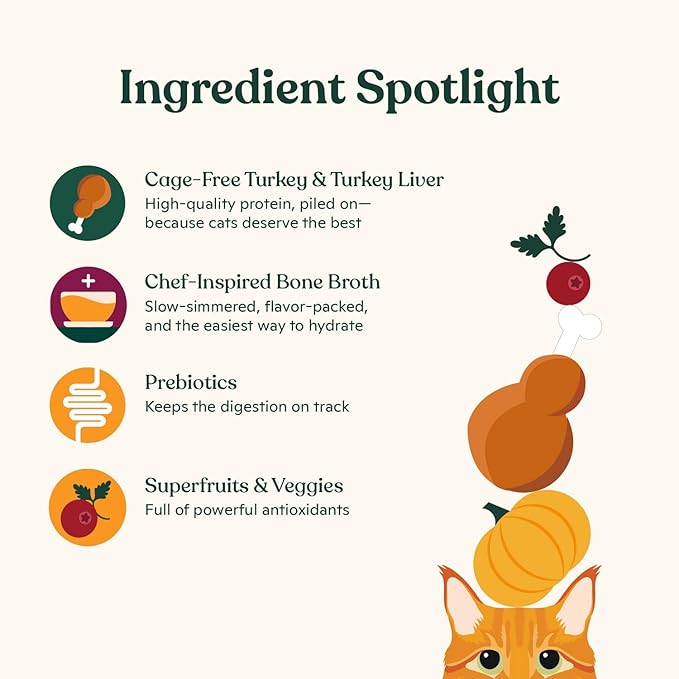 Made by Nacho Premium Wet Cat Food Grain-Free Pate Cans (Turkey & Turkey Liver - 24 Pack, 5.5 Ounce)