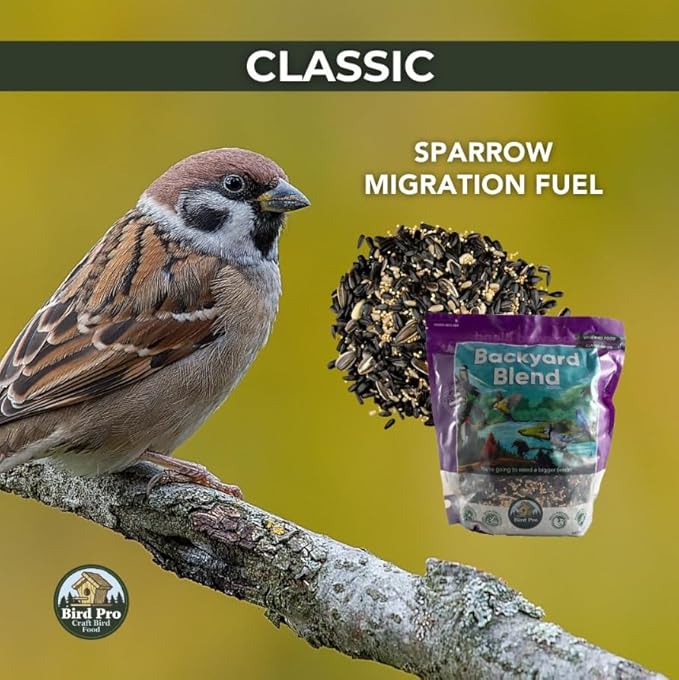 Bird Pro Classic Bird Seed (40 Pounds, Backyard Blend)