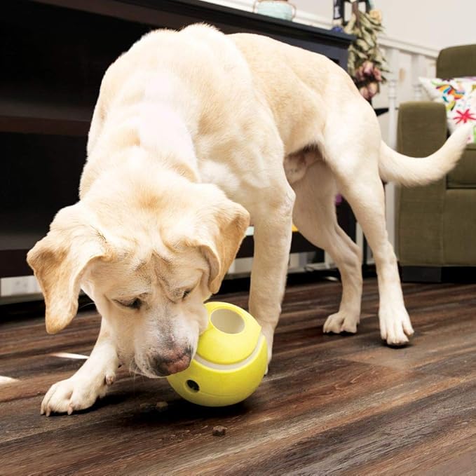 KONG Rewards Tennis Treat Dispenser Dog Toy (Small)