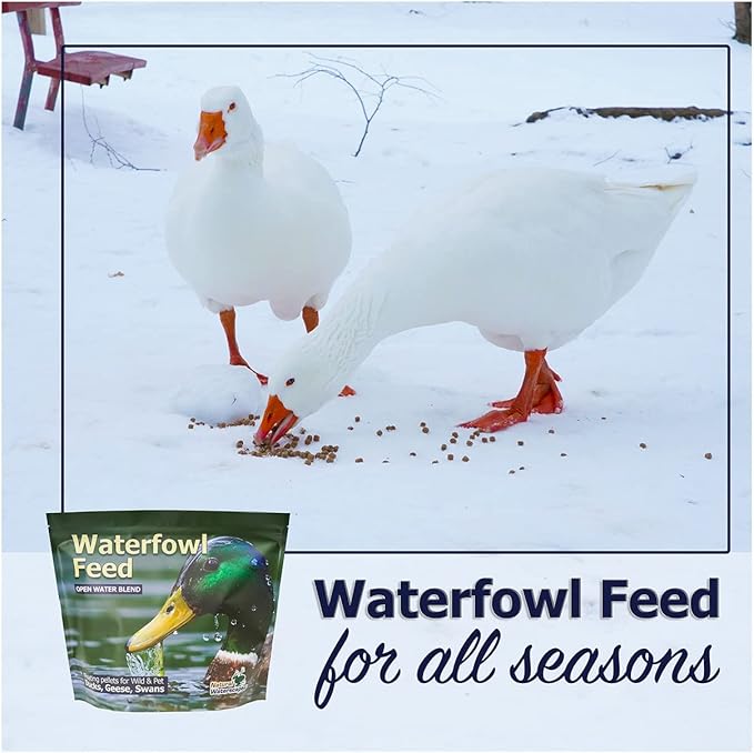 Natural Waterscapes Waterfowl Feed Open Water Diet 40 lb | for Feeding Ducks Geese Swans | Floating Pellets with Niacin for Ducks