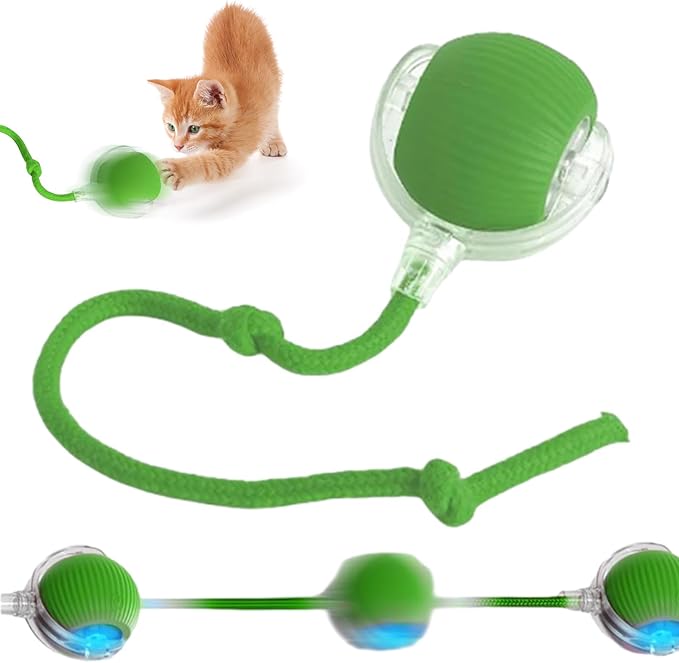 Smart Interactive Pet Toy Ball, Self Rolling Dog Ball Interactive Cat Toys, 360° Smart Automatic Rolling Ball Toy for Dogs Cats Indoor Outdoor Play (Green) 1pcs