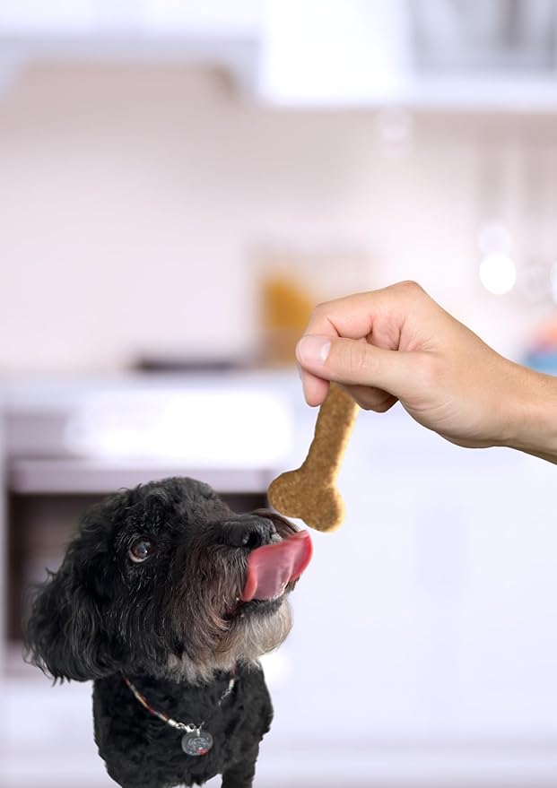 Lulu's Pet Bakery - All-Natural Pet Treats - Human Grade - Made in USA (5oz, Beef)