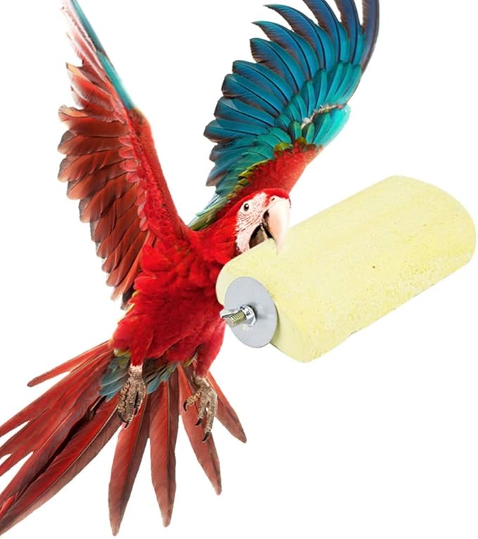 Grinding Stone, Parrots Grinding Stone, Hamster Grinding Stones, Suitable for Birds, Parrots and Other Small Birds to Play