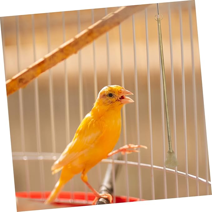 Happyyami Bird Poop Cleaning Tool Metal Brush for Small Animals Cage Bird Cage Accessory