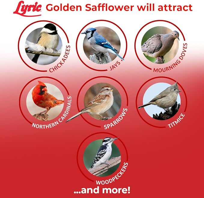 Lyric Golden Safflower Bird Seed for Outside Feeders - Attracts Cardinals, Chickadees, Woodpeckers & More, 12 lb Bag