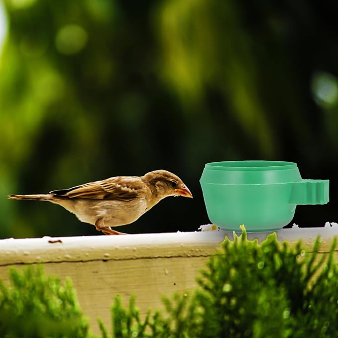 15pcs Green Small Bird Feeding Bowls Lock Food and Water Tray for Parrots and Small Birds Cage Supplies