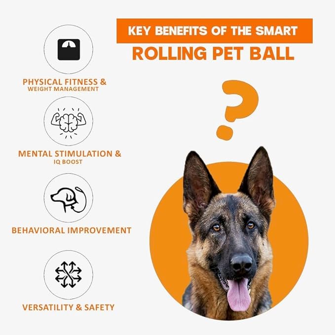 Interactive Cat Ball Toy – Smart Rolling Pet Ball with Obstacle Avoidance, USB Rechargeable, Cord Tail Design – Fun Enrichment Toy for Indoor Cats & Small Dogs (Orange + Green)