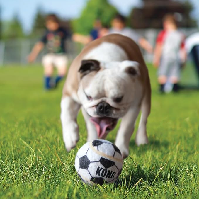 KONG Sport Balls for Dogs – Medium Tennis Ball Size – Extra Bouncy & Durable Dog Balls for Tough Indoor/Outdoor Play – Non-Squeaking Tennis Ball Alternative – 6 Pack