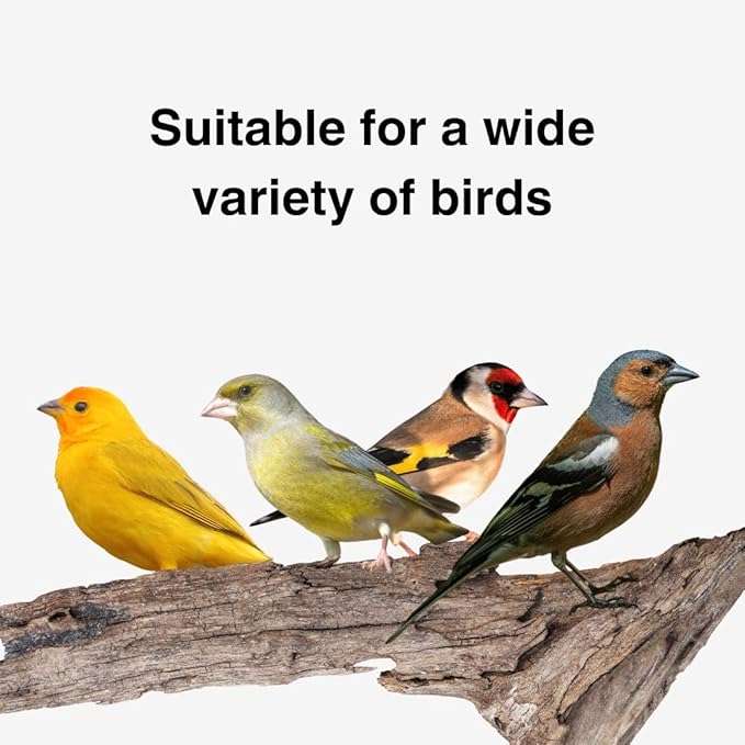 Raff SuperBo 1Kg Moist Bird Feed – Nutrient-Rich Soft Food for Granivorous Birds, Ideal for Canaries, Finches & Softbills, No Dore Formula, Supports Healthy Growth & Digestion
