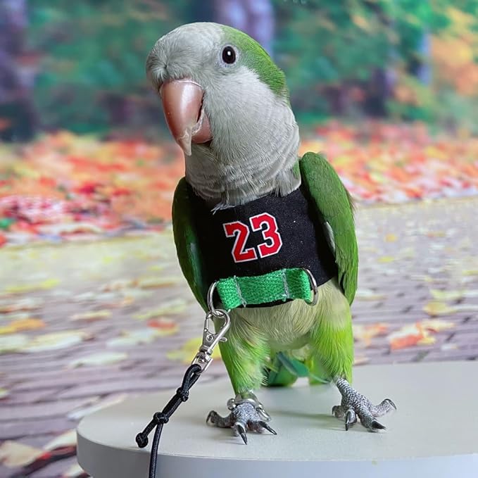 Bird Flight Harness Vest, Parrot Flight Suit with Leash, Bird Flying Clothes with Rope and Handle for Outdoor Activities (Without Leash,Cockatiel) (4XL, Without Rope)