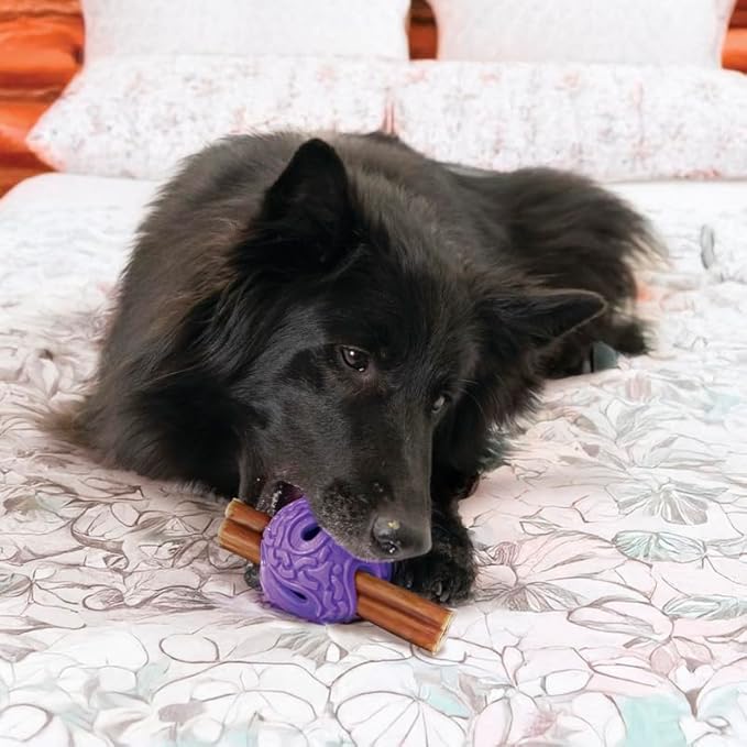 KONG Squeezz Flex Ball – Flexible Treat & Chew Holder for Dogs – Interactive Dog Toy for Fetch, Floating, & Travel – Holds Treats, Chews, & Bully Sticks (Small/Medium)