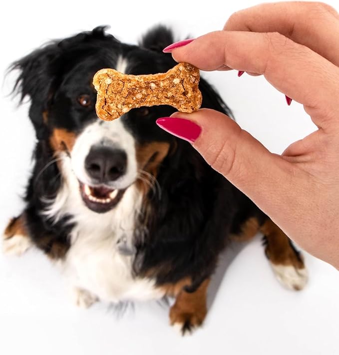 Polkadog Chicken Littles Bone Shaped Dog Treats - Chicken, Crunchy, All Natural, Limited Ingredient, Lean Protein Snacks for Dogs, Great for All Breeds, Made in USA - 7oz
