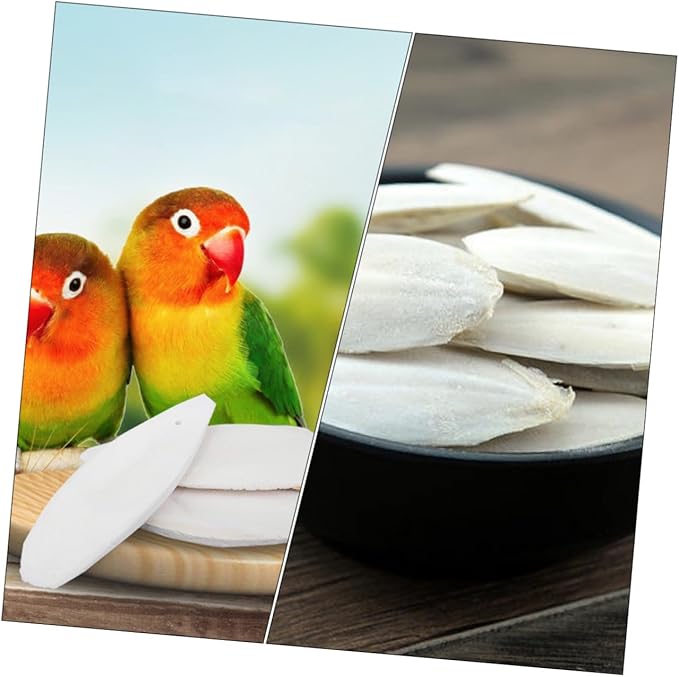 POPETPOP 12sets Pet Grinding Toy Set Cuttlefish Bone Chewing Toys Molars for Animals Bird Cage Accessories Pet Supplies Protect Your Shoes Furniture