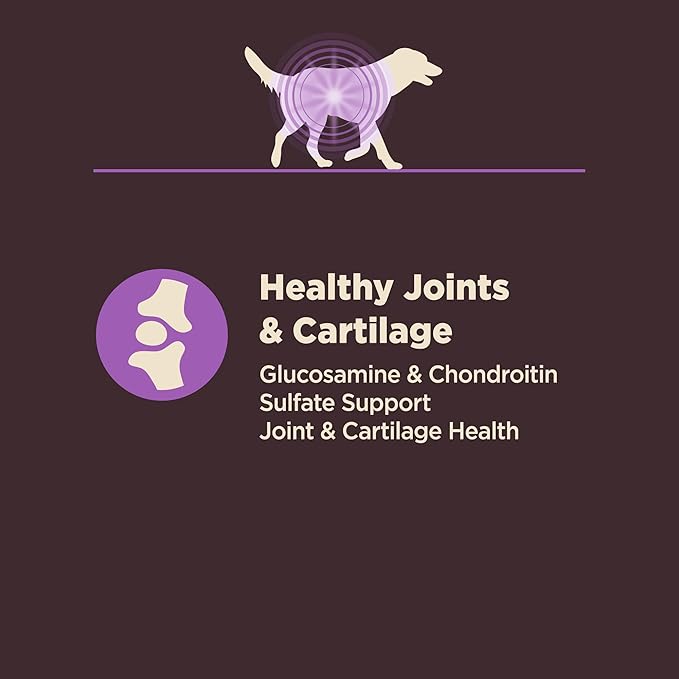Wellness CORE Digestive Health Age Advantage Senior Dry Dog Food, Wholesome Grain Kibble, Sensitive Stomach, Natural, High Protein, Chicken and Brown Rice Recipe, 24 lb Bag