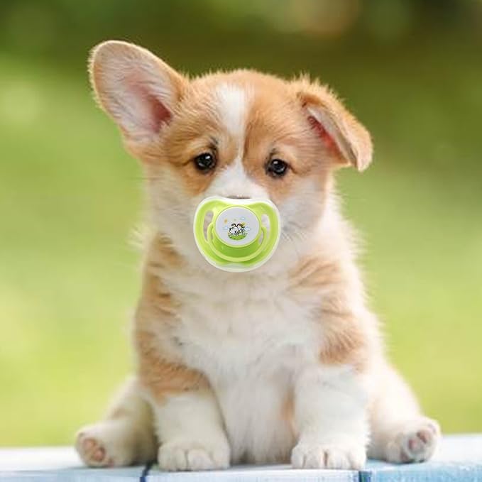 4 Pack New Born Puppy Pacifiers for Small Cat Dog,Pet Calming Pacifiers Chew Toy,Puppy and Kitten Supplies